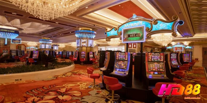 Người chơi tìm hiểu Việt Nam có casino không hợp pháp 